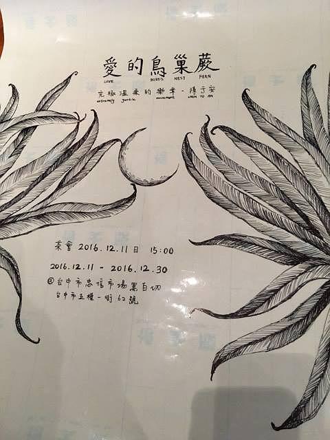 11-4陳于安，〈愛的鳥巢蕨〉的封面圖