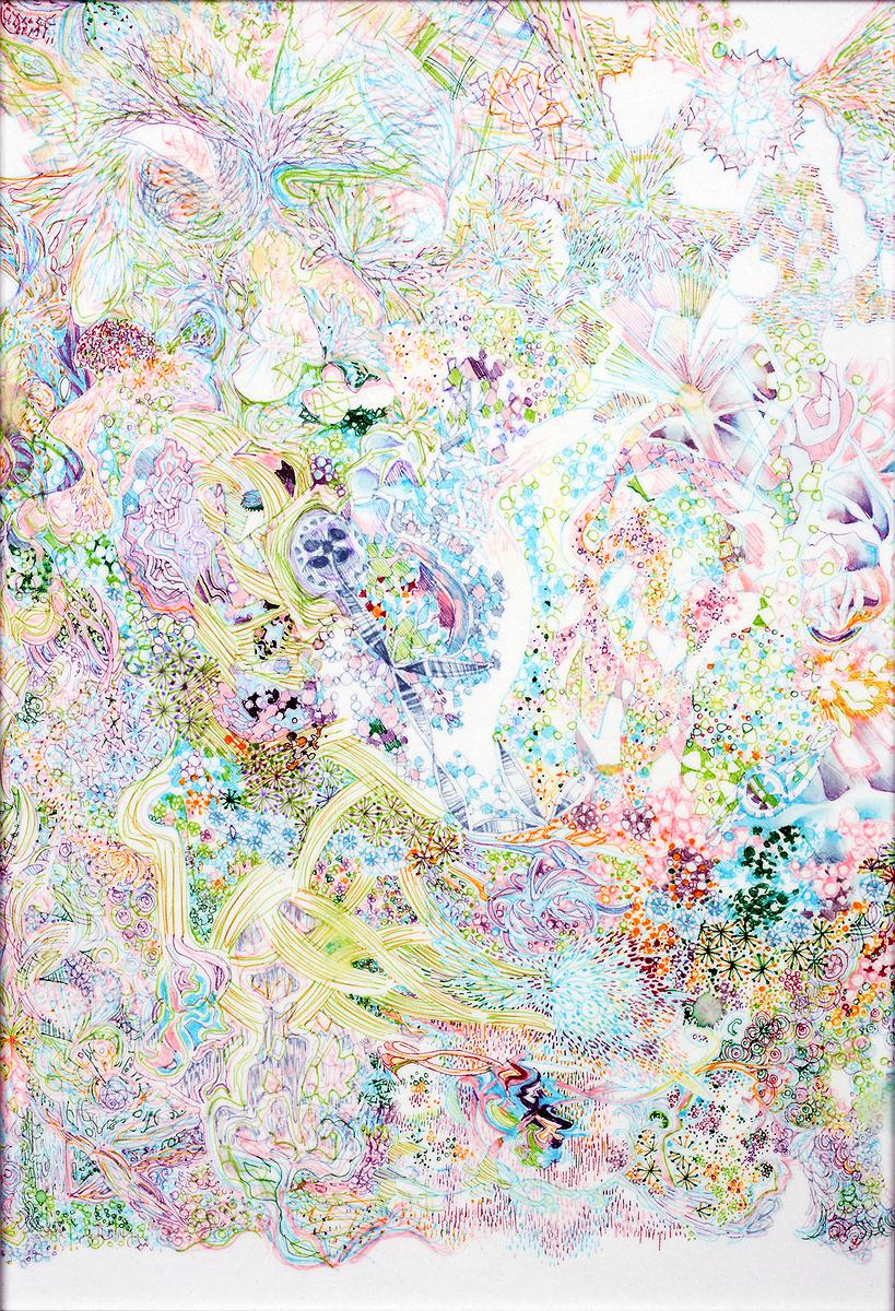 〈amphibian〉，2014年，紙，油性簽字筆，22×30cm。的封面圖