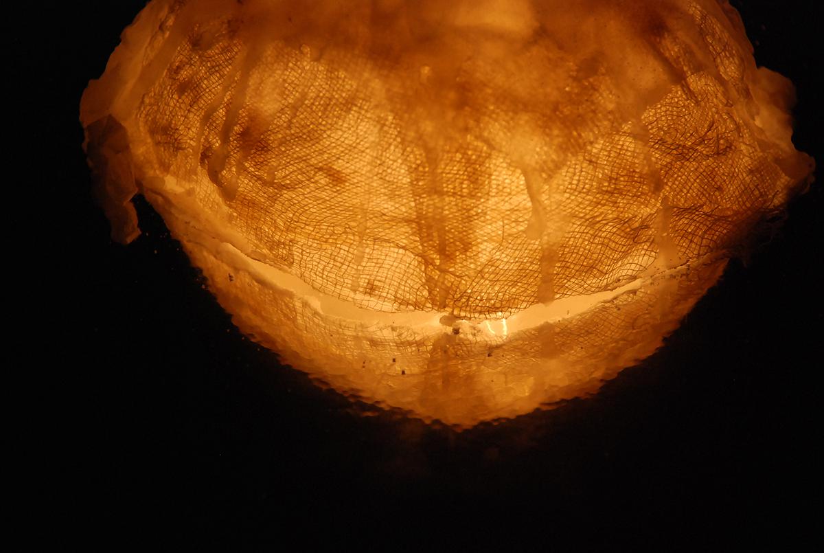 生命意象-虛實對映的圓的封面圖