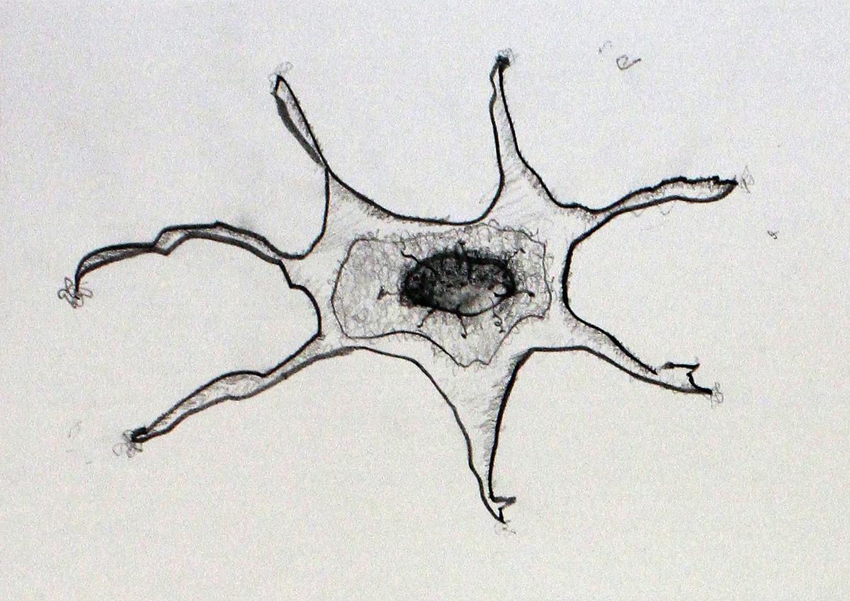 植物療癒—黃瑩瑄創作論述  情緒細胞系列 細胞手稿 02的封面圖