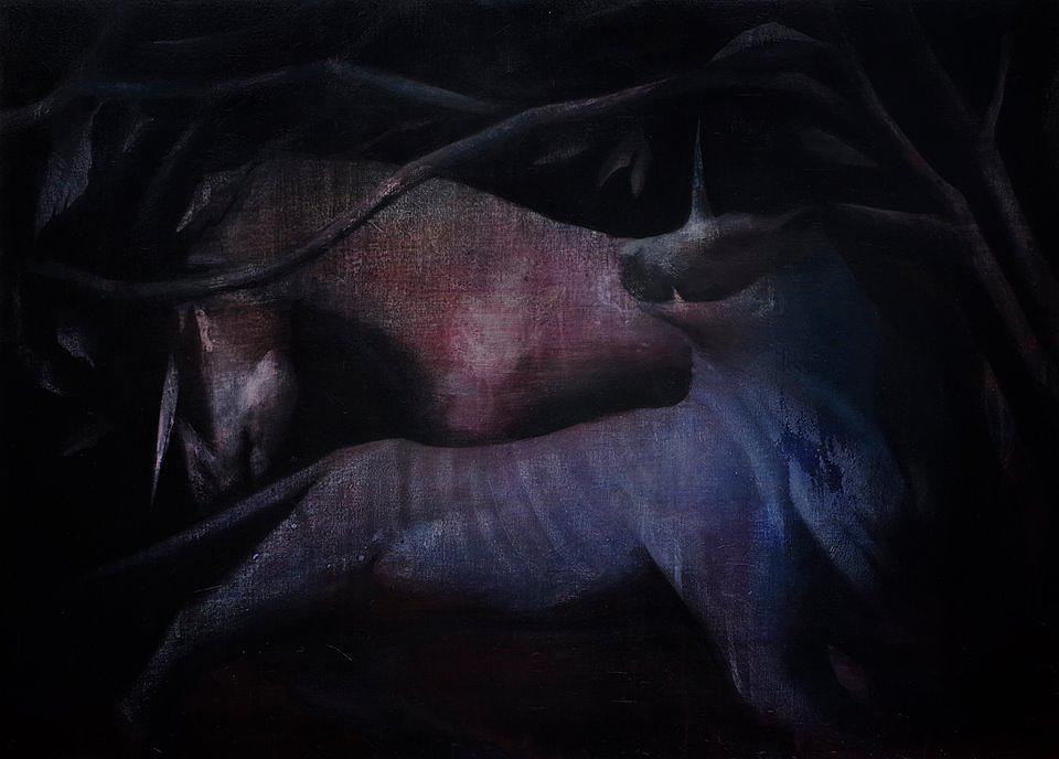 可能性之獸的封面圖