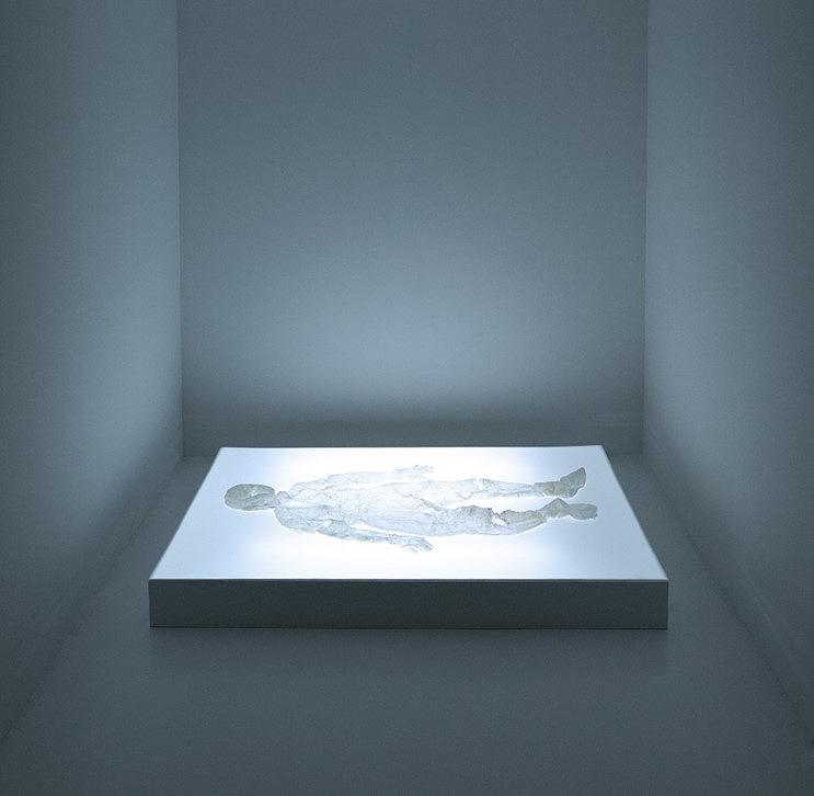 〈皮囊 Ⅰ〉，2015， 樹酯，90 ×180 cm，依場域而定的封面圖