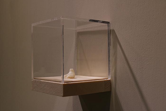 Perception and Inception of Body - The Creation Research of Liu, Hsin -Yi's Cover