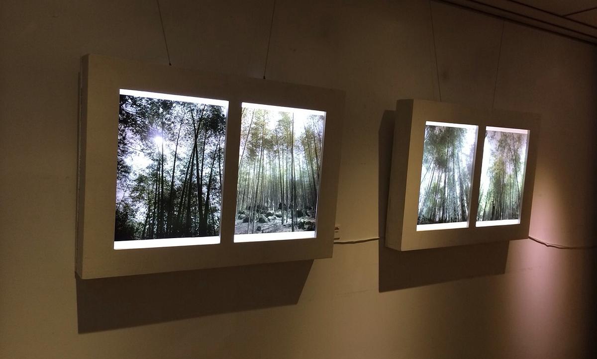 Integrity, a Full House of Bamboo The Studies of Bamboo Culture and Conceptual Images's Cover