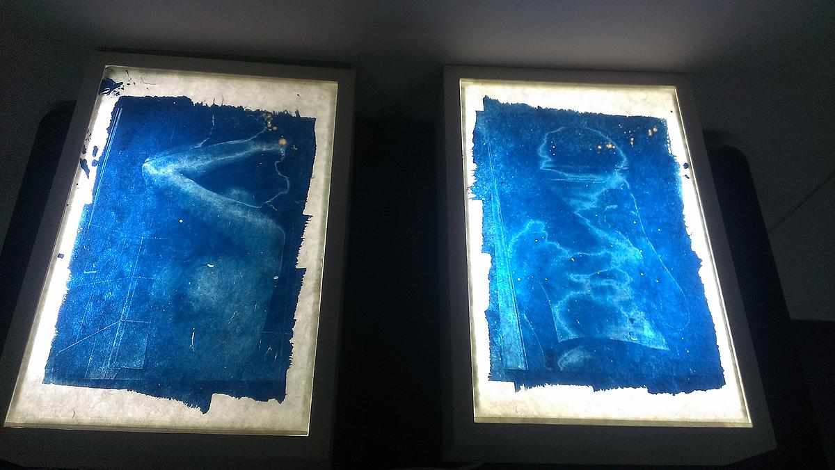 自戀者的封面圖