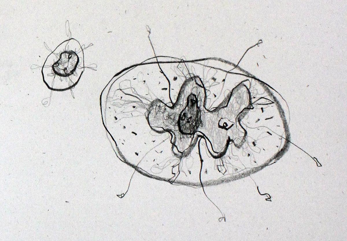 Plants Healing—A Discourse on Ying-Syuan Huang's Artworks's Cover