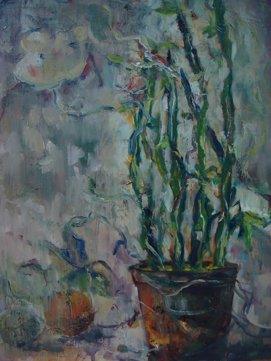 54仙人掌的志向的封面圖