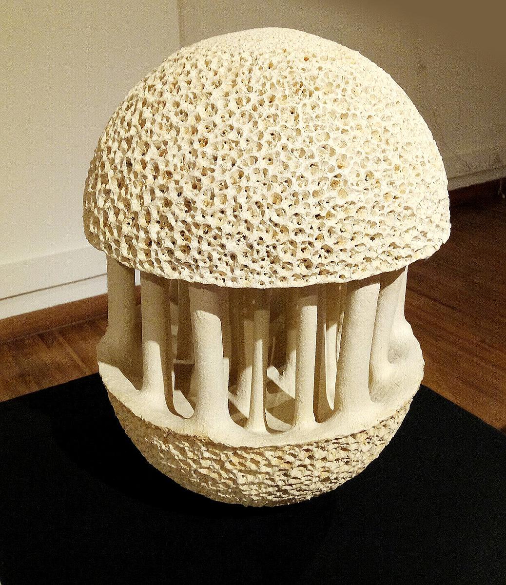 與植物對話 — 魏金蕊陶藝創作論述-《變種》正面展出效果。的封面圖