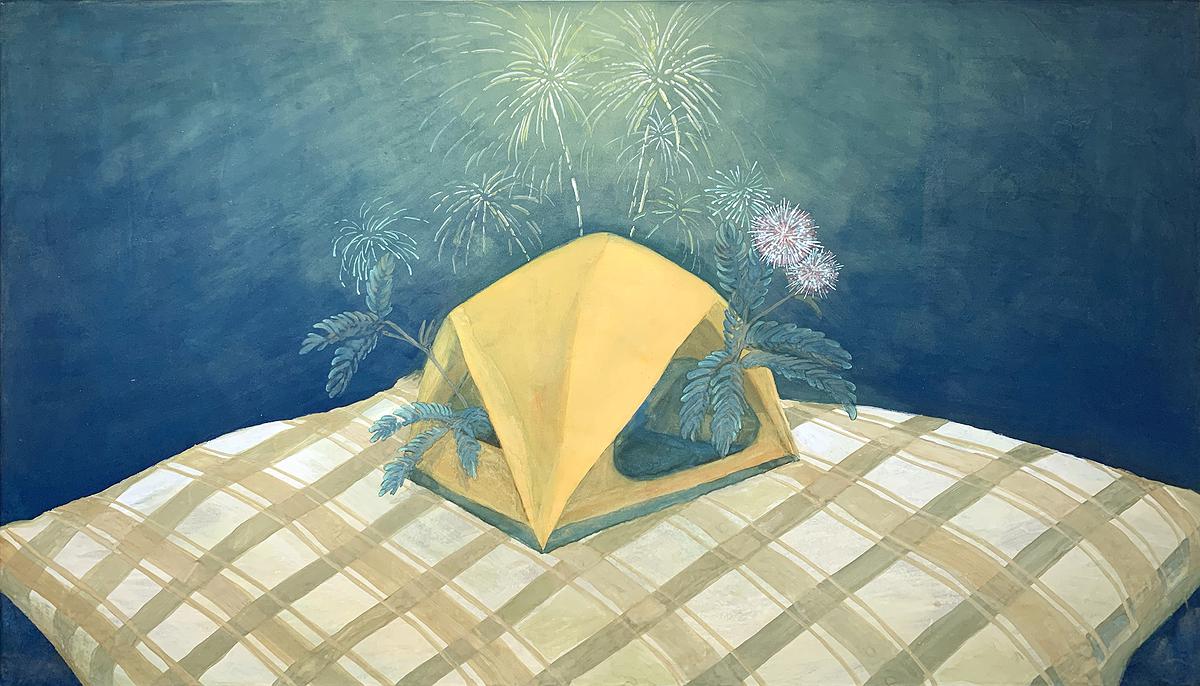 明月幾時有的封面圖