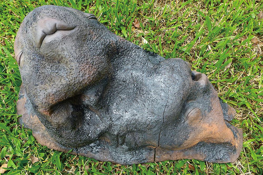 2014魚谷a的封面圖