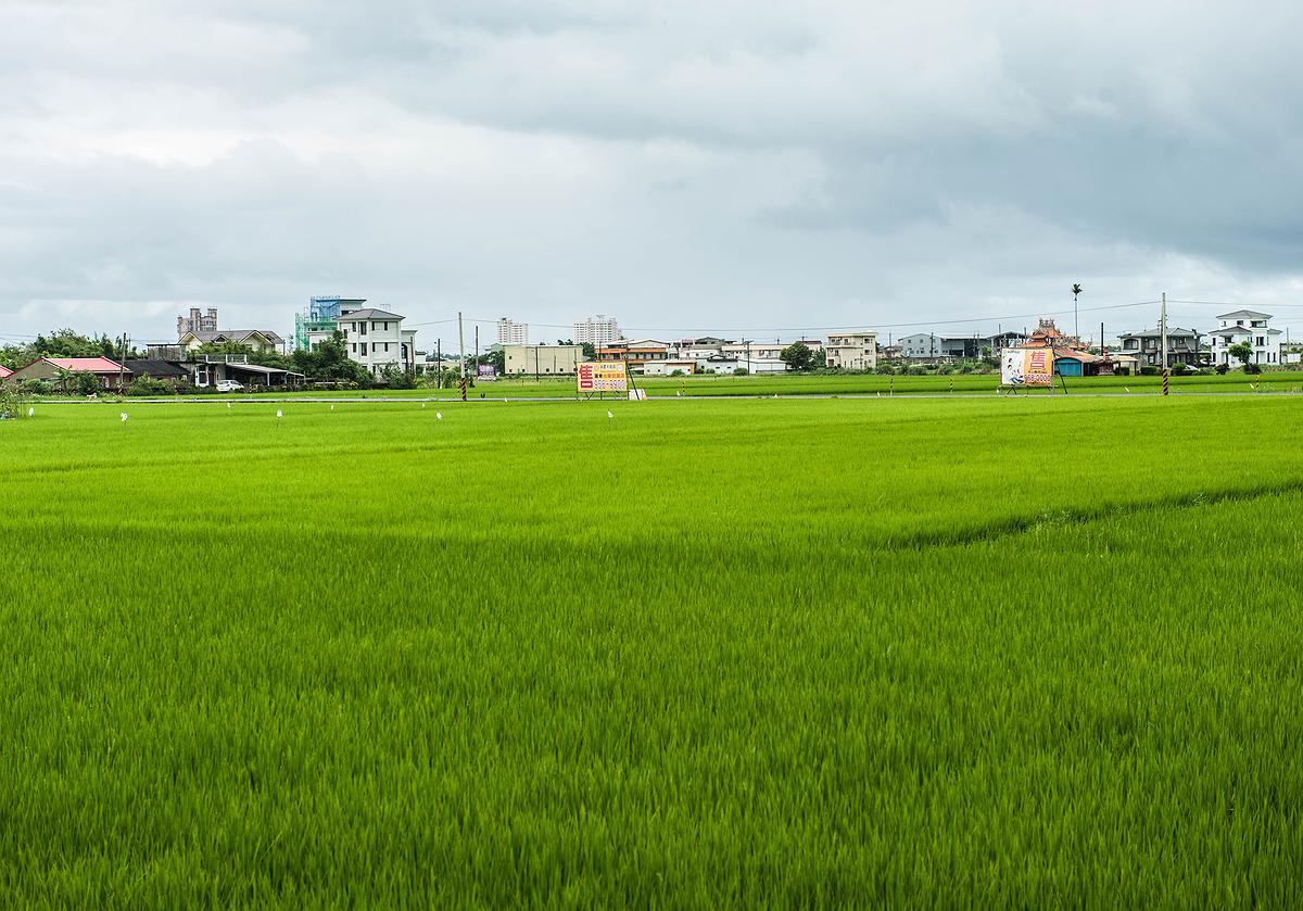 農舍-1的封面圖