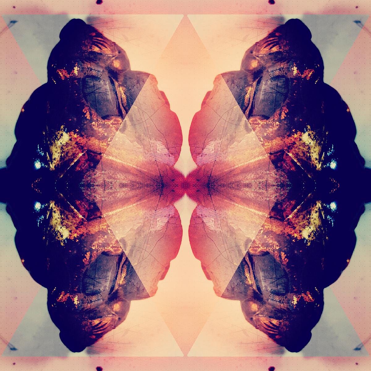 圖載場—白虛與夜實的生物世界-12的封面圖