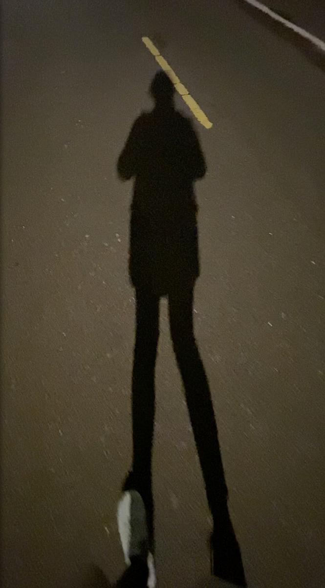 身體座標：當代生活中的身體想像--黃萱創作研究 圖29〈Follow〉的封面圖