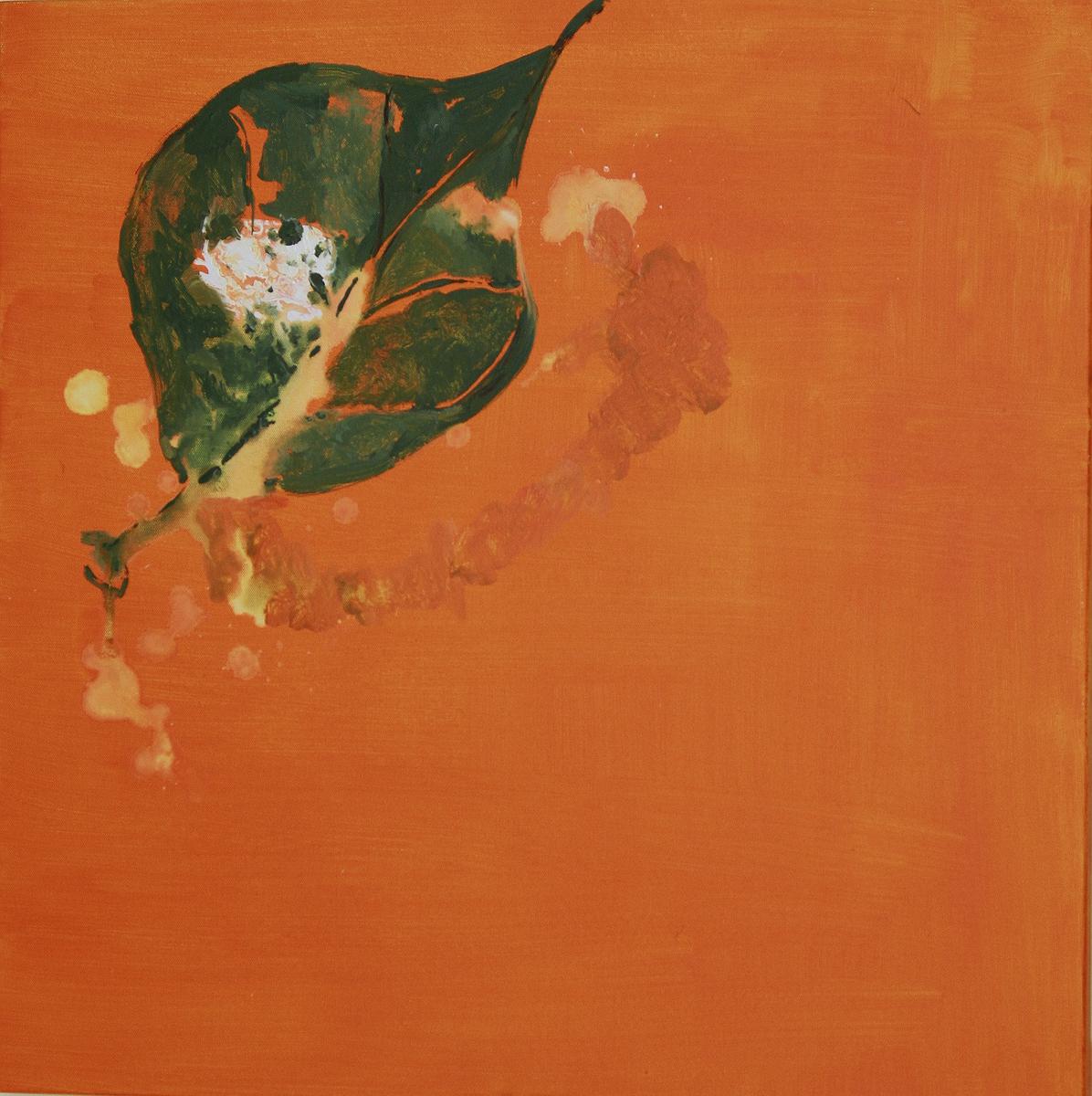 60花園裡有天使-左上的封面圖