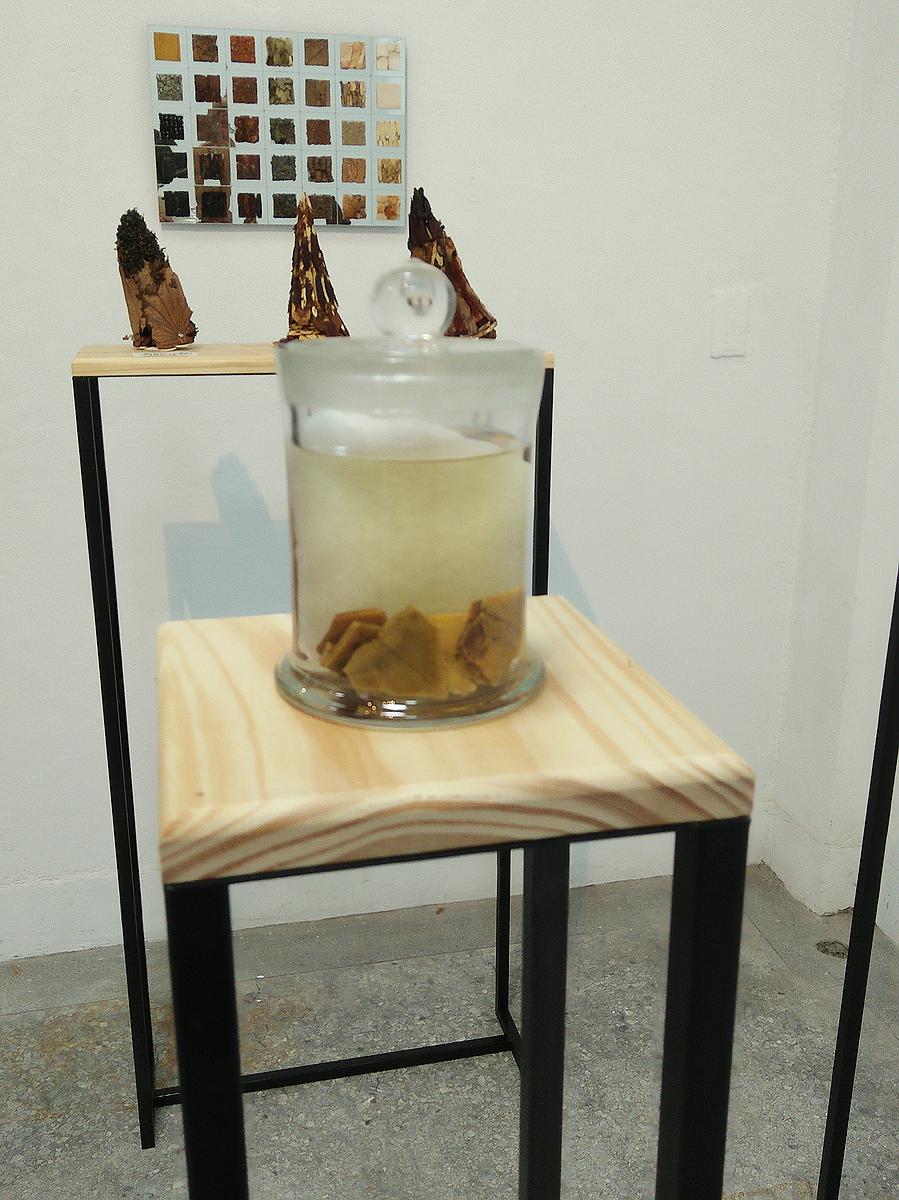 中藥系列作品14的封面圖