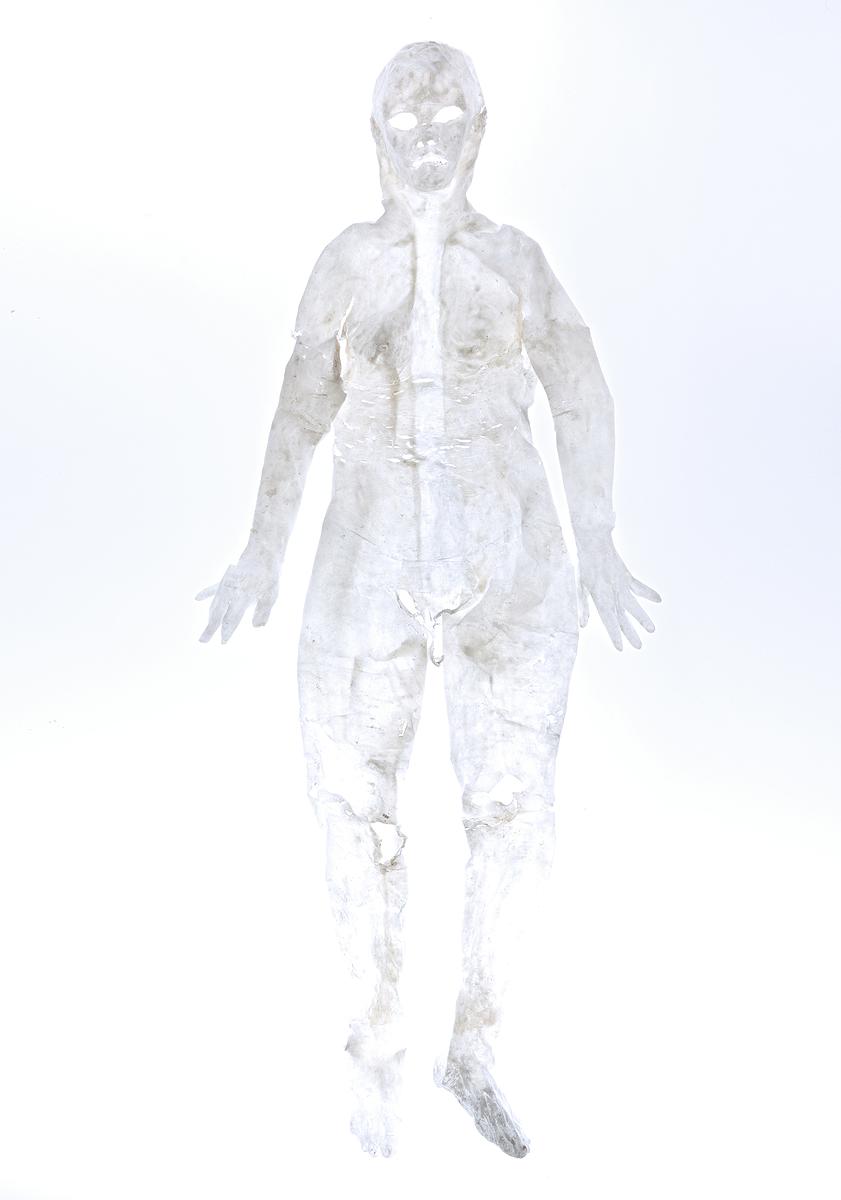 〈皮囊 Ⅰ〉，2015，樹酯，90 ×180 cm。的封面圖