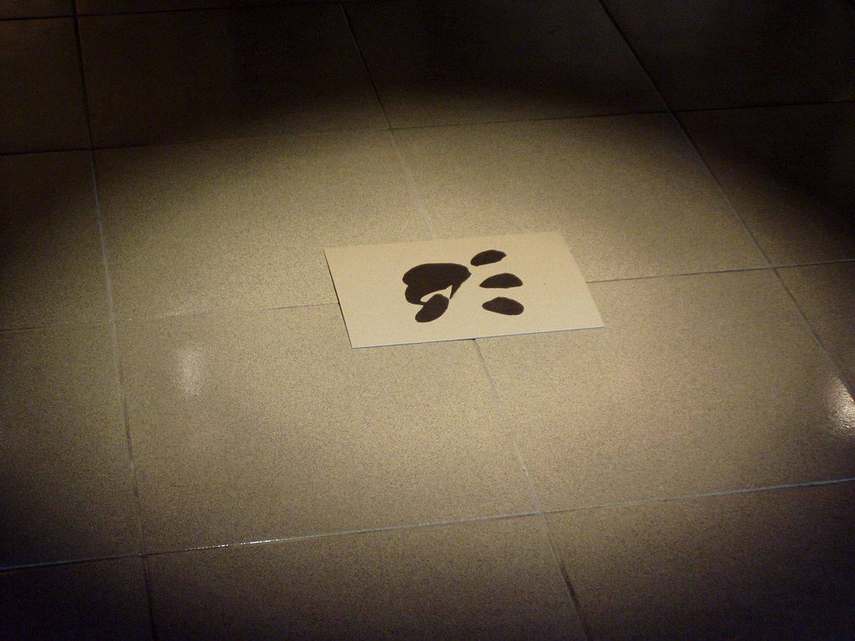 意識墨：跨越、繁衍、游移，一種流動式的活體觀-21的封面圖