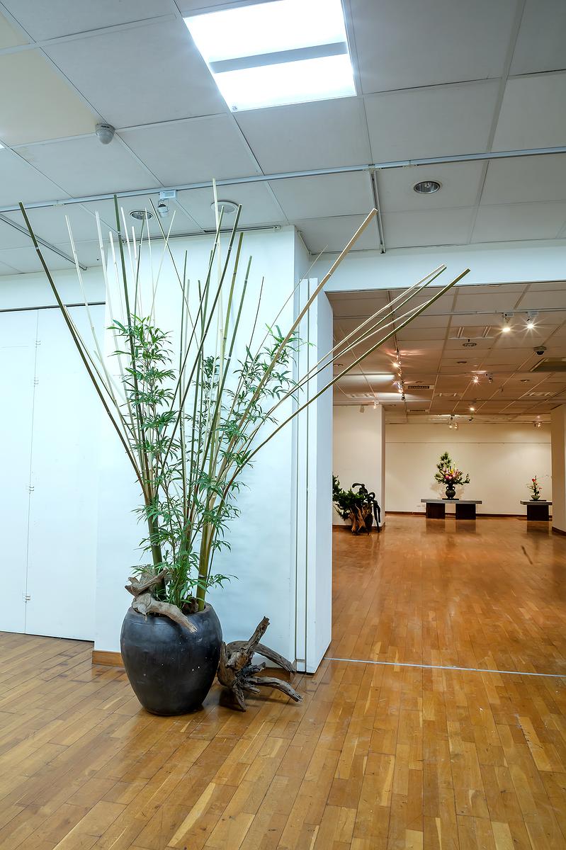 穠麗沁竹丰-竹之花藝創作研究 191209_020的封面圖