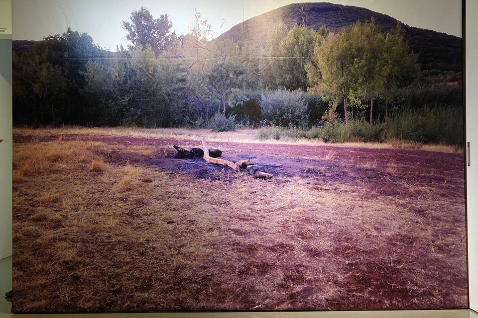 「存在」的隱喻－鄭茲尹創作研究-11-3的封面圖