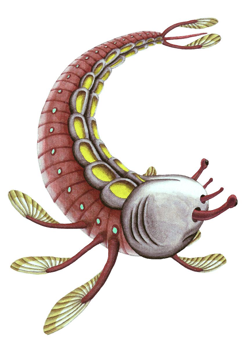 作品1 蝦甲魚的封面圖