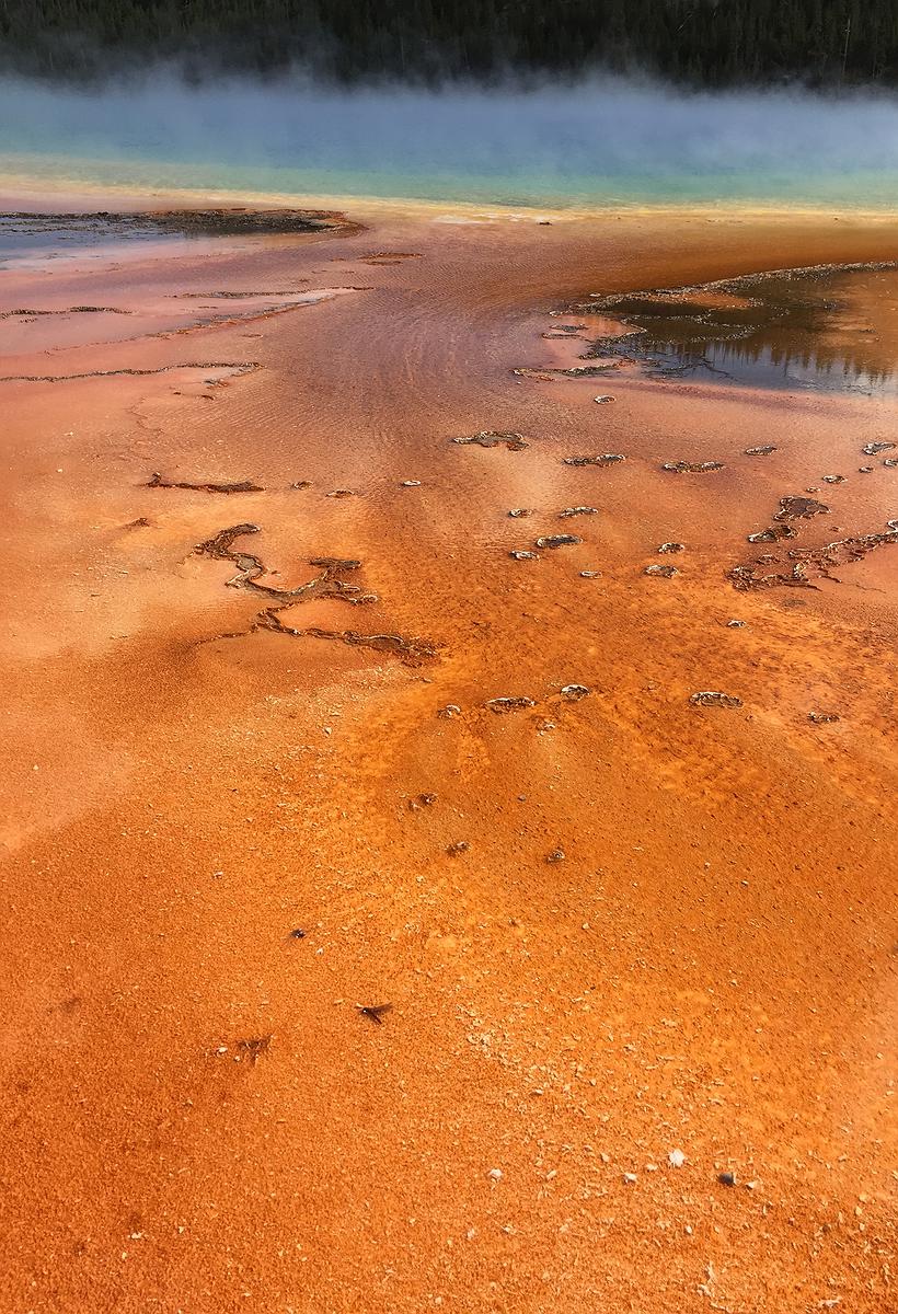 內心視界系列-映天-2016-洛杉磯的封面圖