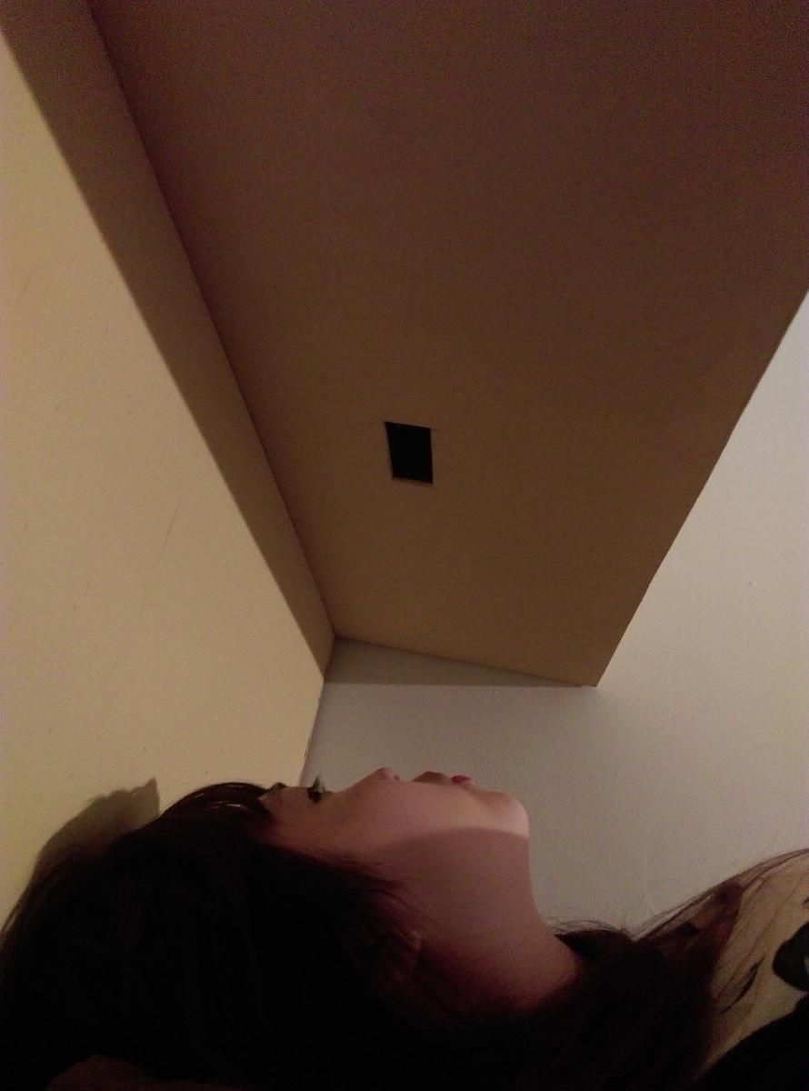 動作與回溯 局部二的封面圖