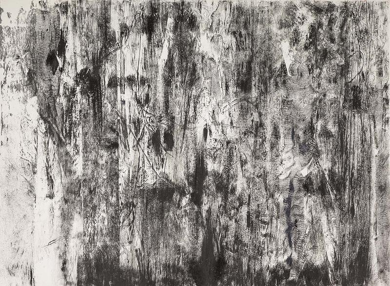 〈消離〉的封面圖