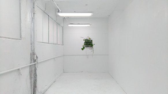 人與自然的介面 －黃冠菱創作研究3的封面圖