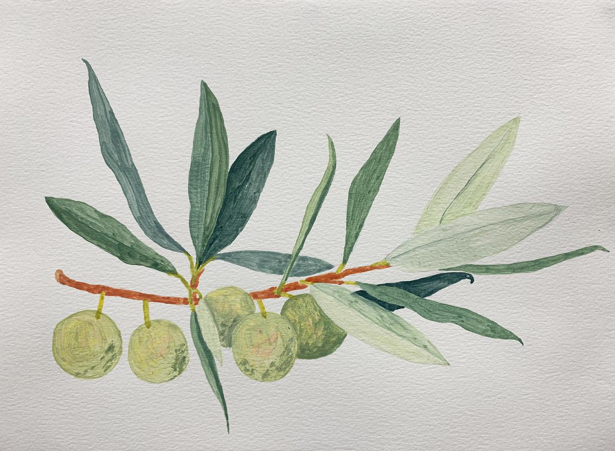 Plants Healing—A Discourse on Ying-Syuan Huang's Artworks's Cover