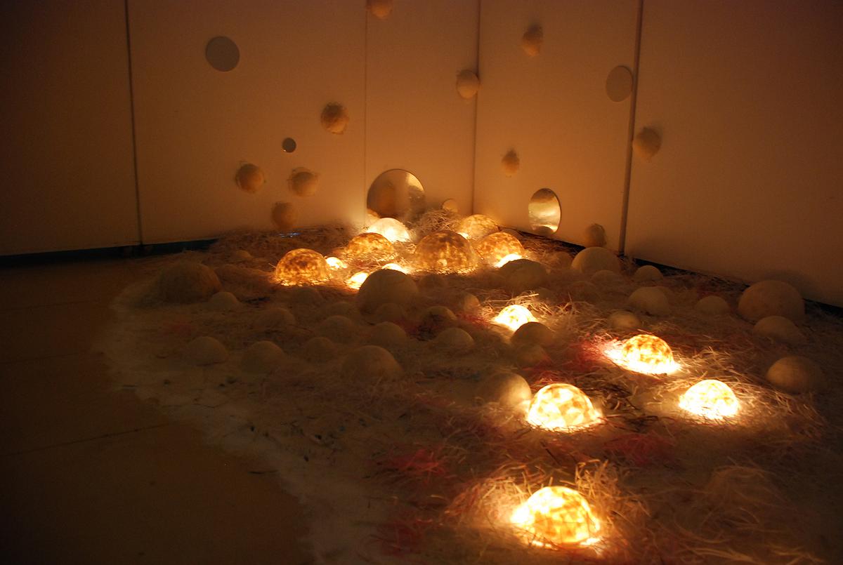 生命意象-半圓體整體場域2的封面圖