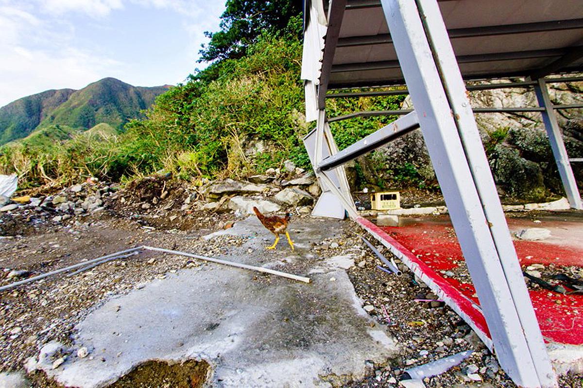 Lanyu of Seeing-25's Cover