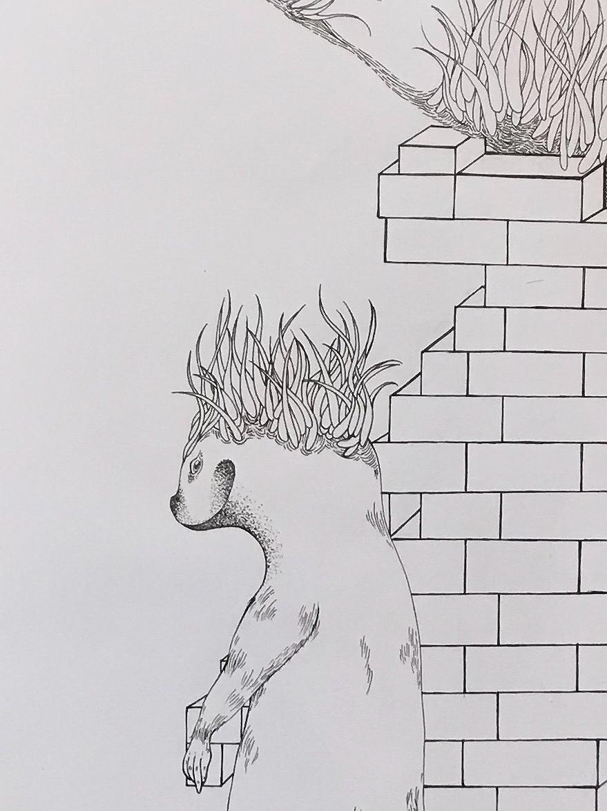 圖載場—白虛與夜實的生物世界-14的封面圖