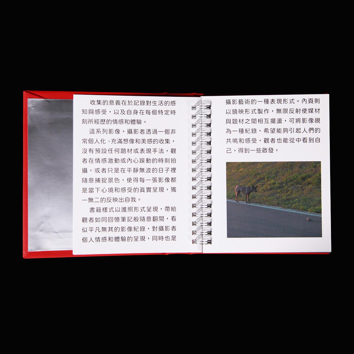 Moment Collector_inside pages1的封面圖