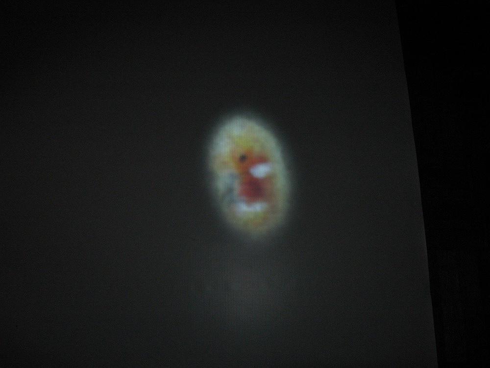 million heartbeats-33的封面圖