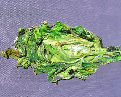 身體的意象與權力-34的封面圖