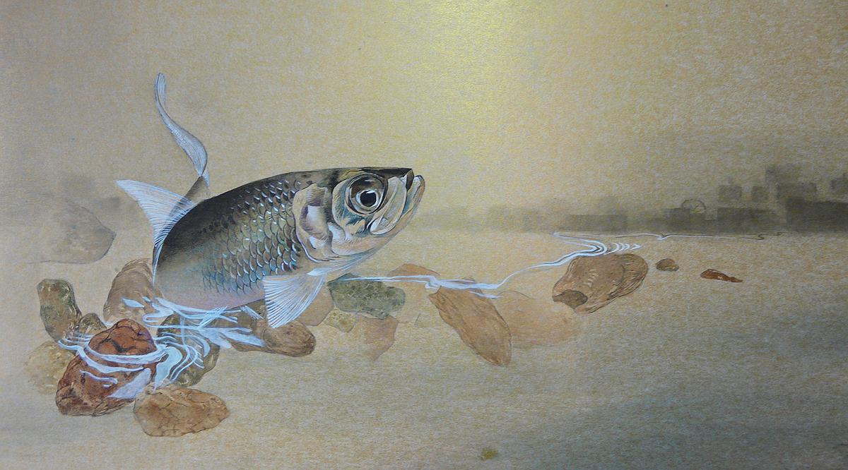 07.洄游的封面圖