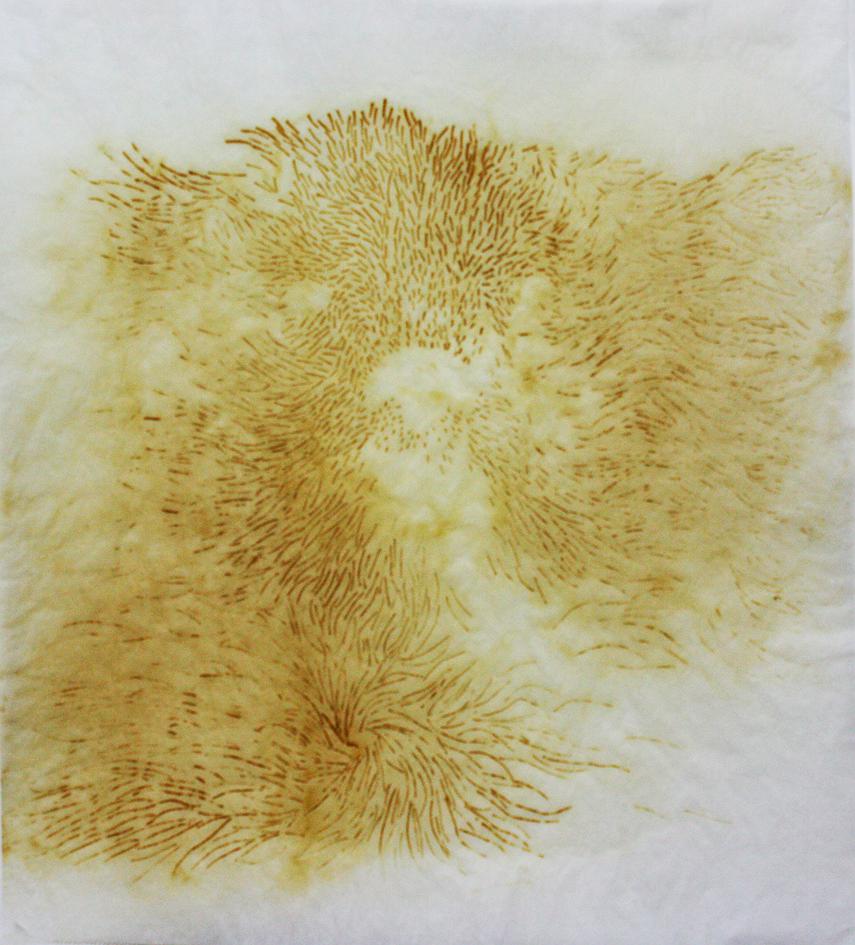 《焦焦兒》的封面圖