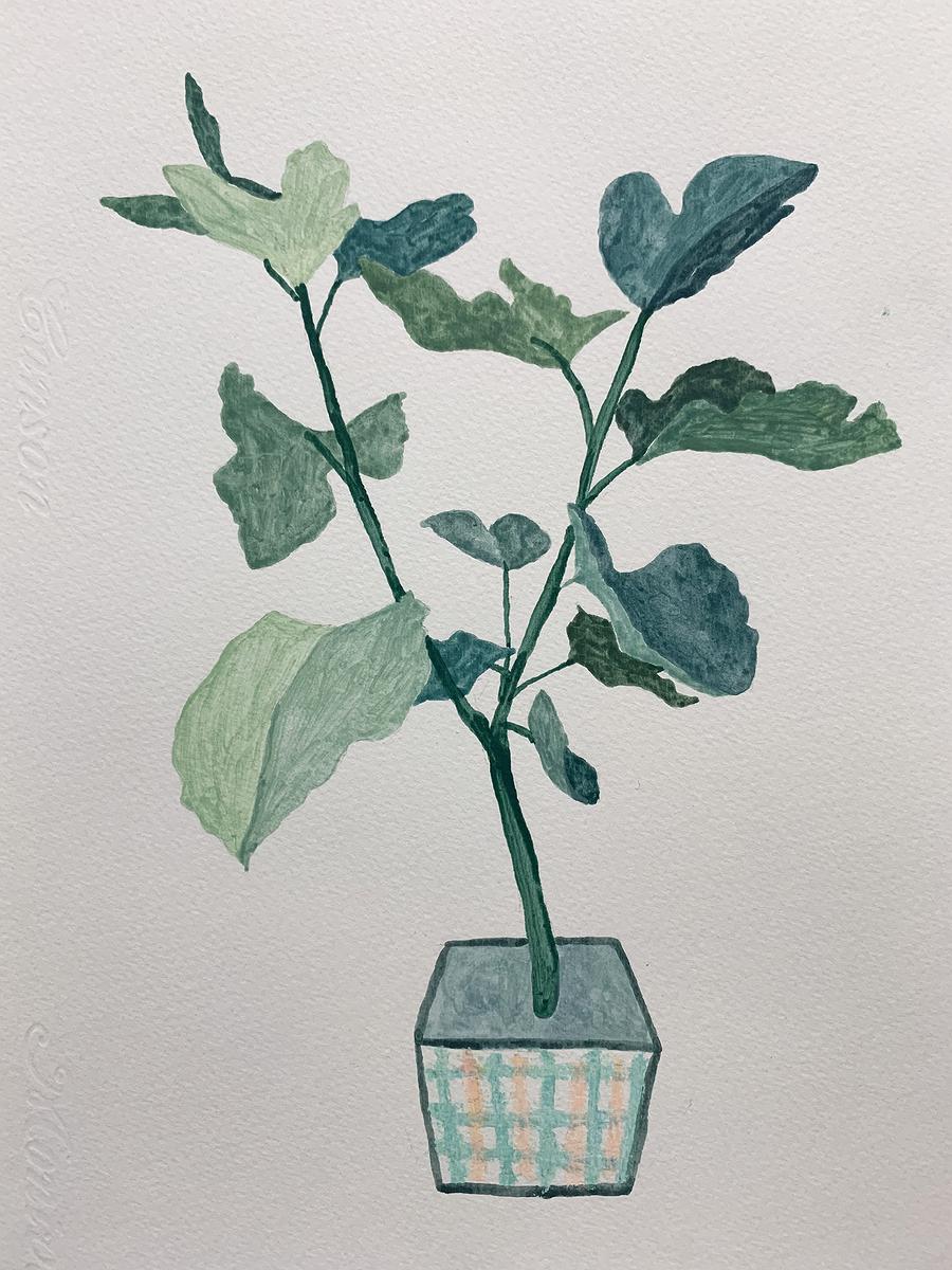 植物療癒—黃瑩瑄創作論述 花草系列 盆栽 27的封面圖