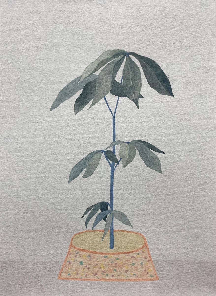 Plants Healing—A Discourse on Ying-Syuan Huang's Artworks's Cover