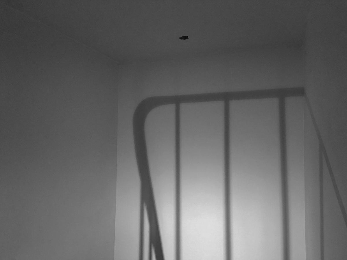 Just What Is It That Makes Today's Houses So Different, So Appealing?-22's Cover