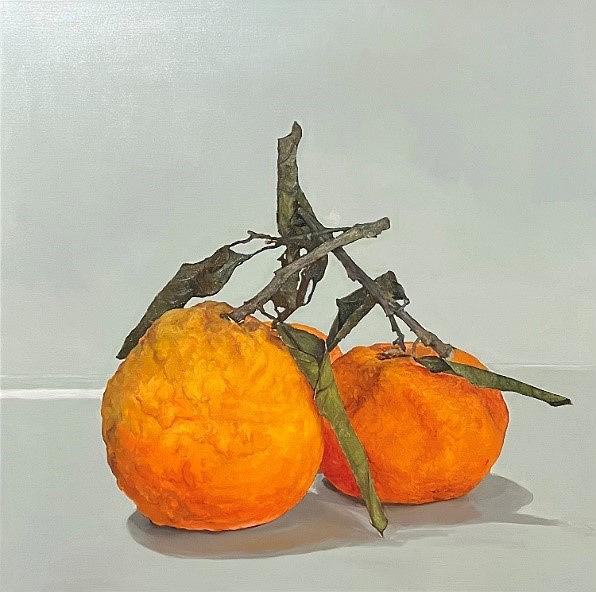 〈橘〉，2025，油彩、畫布，80 x 80 cm的封面圖