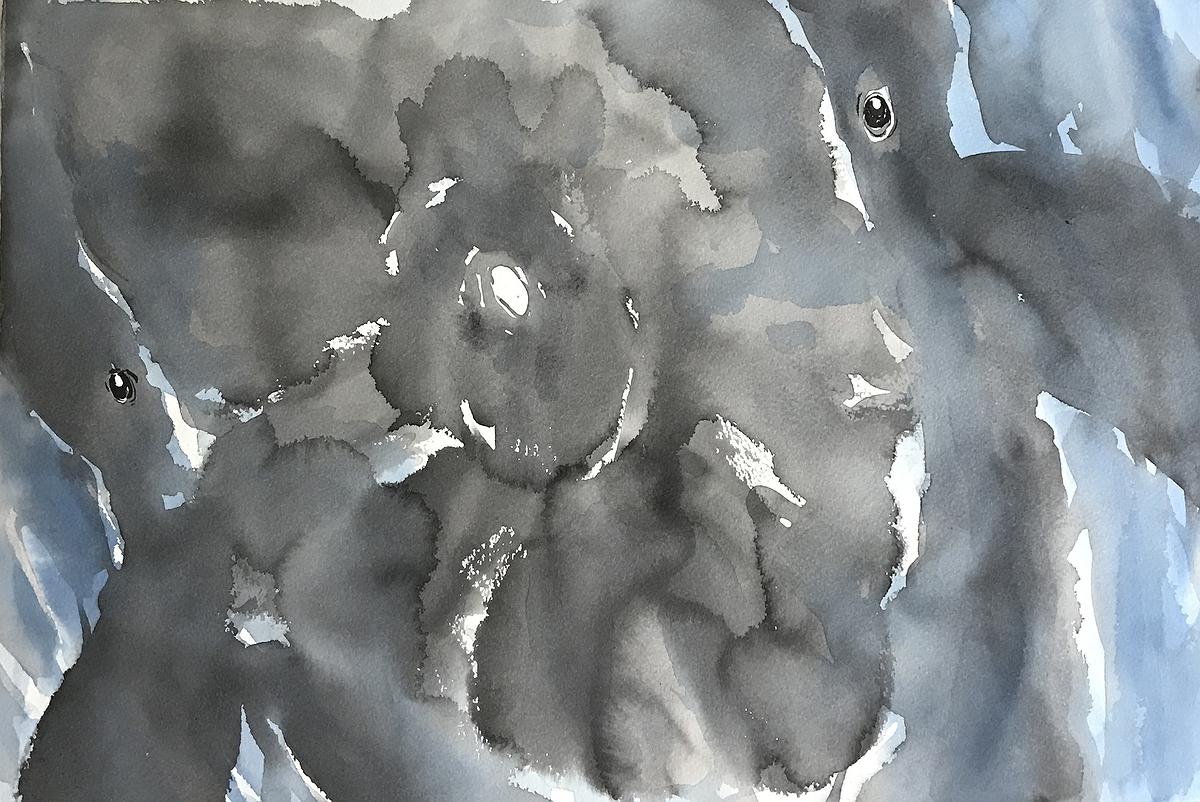 作品二〈鯨魚1〉的封面圖