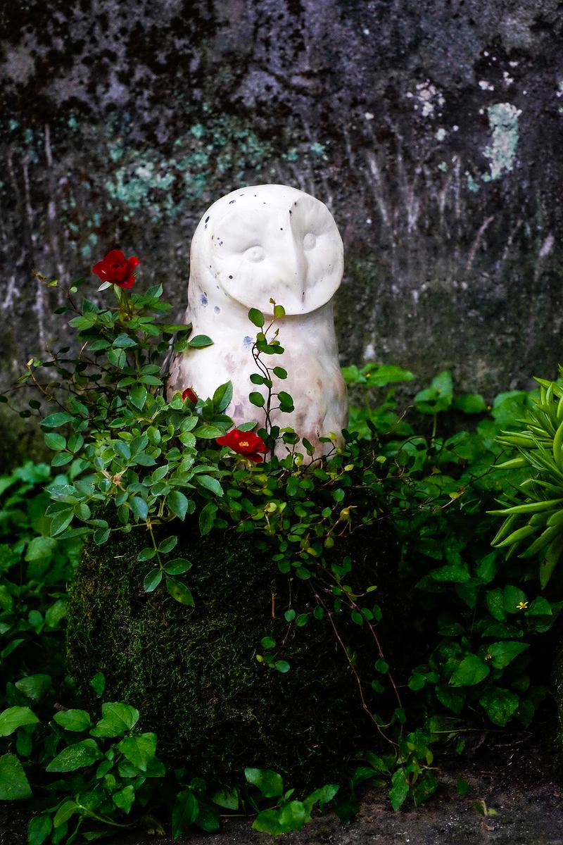 青苔球花器3的封面圖